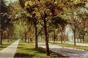 Postcard of State Street, turn of the 20th century.