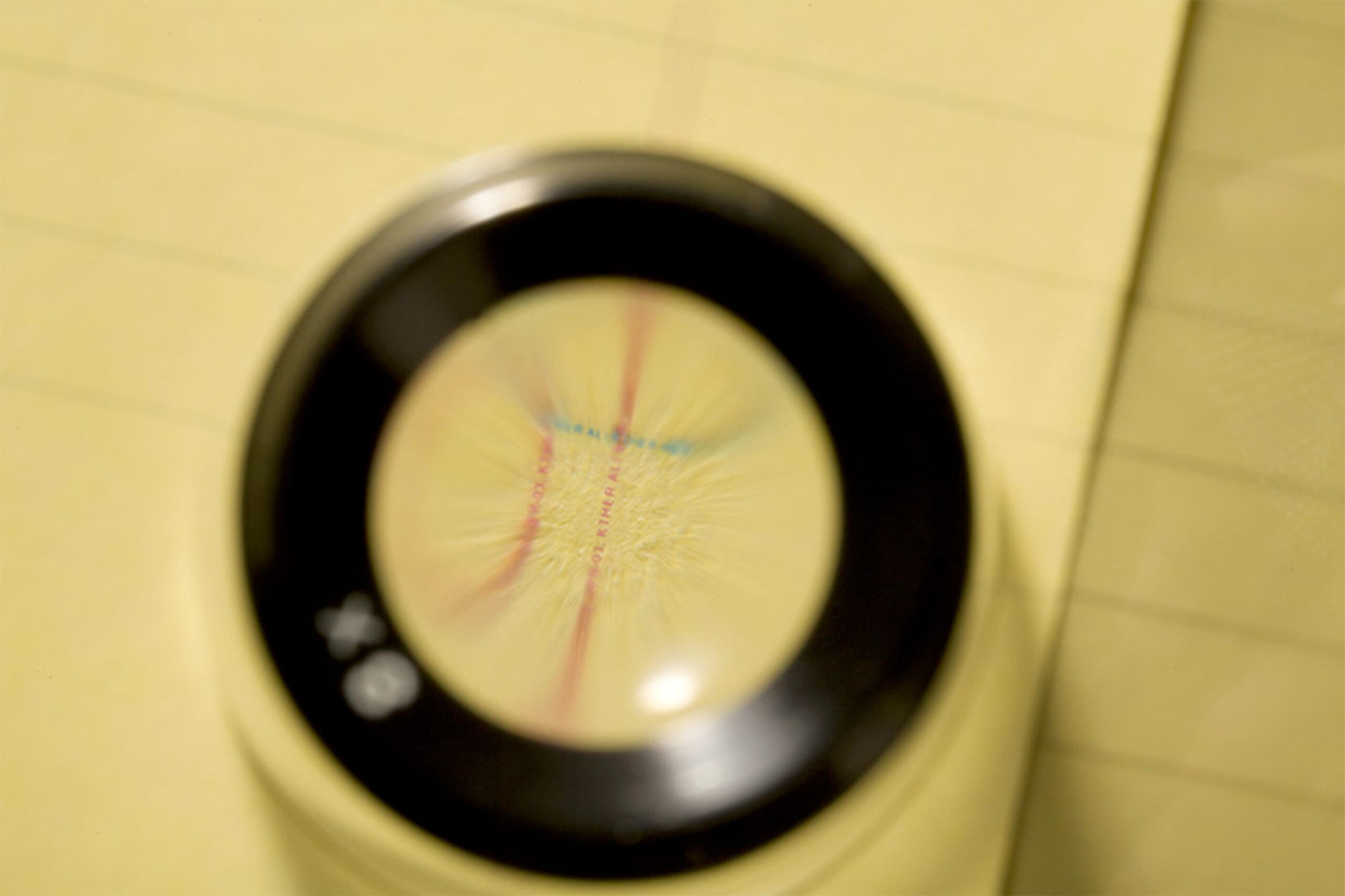 A view of the micro-printed text enlarged through a loupe. Image courtesy: Matt Kenyon