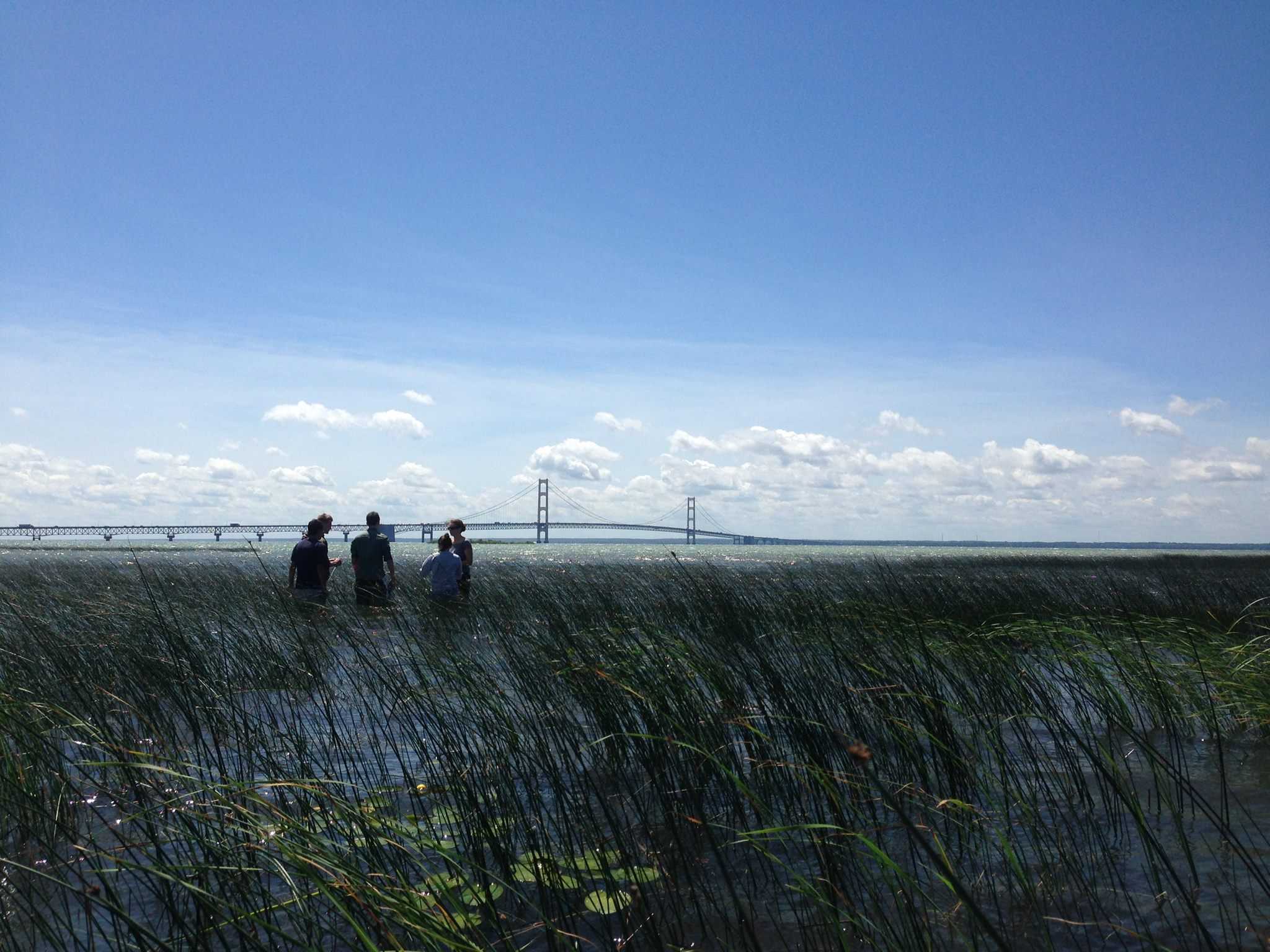 Researchers in a wetland. Image credit: Mandy Treviño