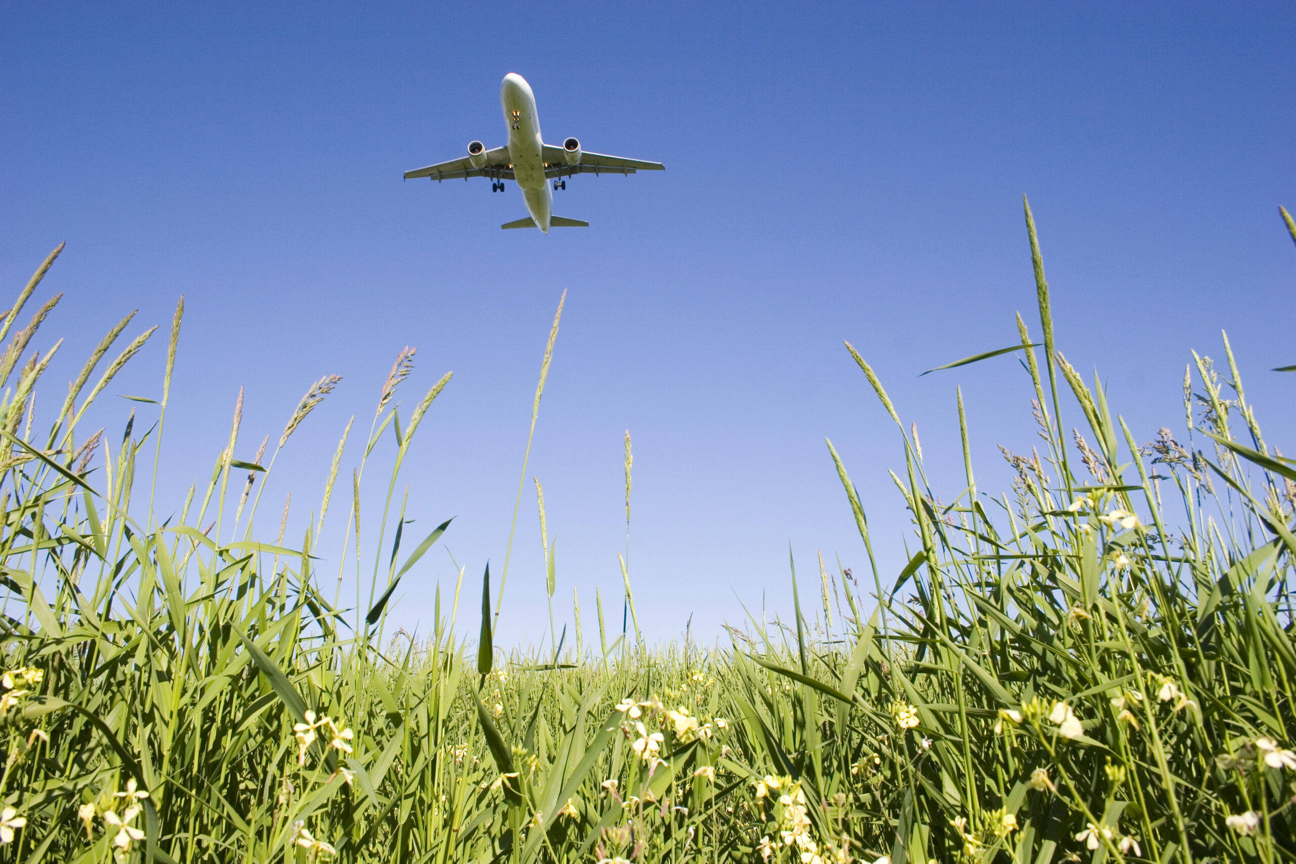 An airplane flying over a grassy field. (stock image)