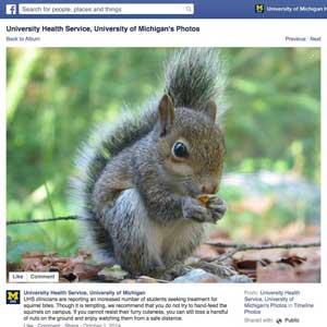 Squirrel warning, via social media