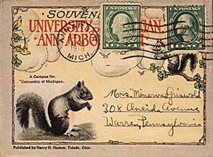 Squirrel postcard