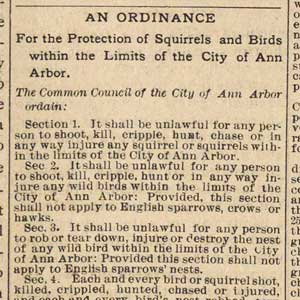 Squirrel ordinance