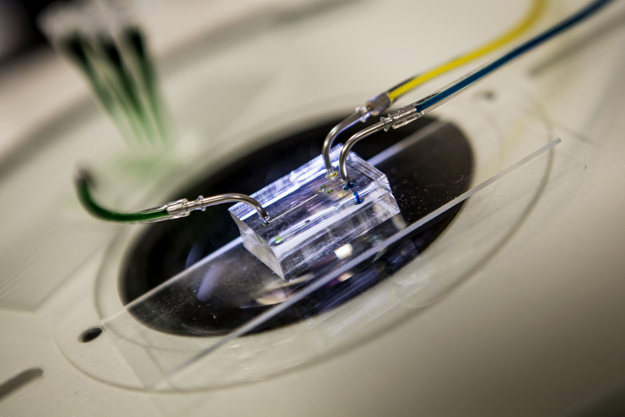 Priyan Weerappuli, visiting graduate student, tests a heartbeat chip that uses fluid instead of electricity and can mimic the human heartbeat. Image credit: Joseph Xu, Michigan Engineering