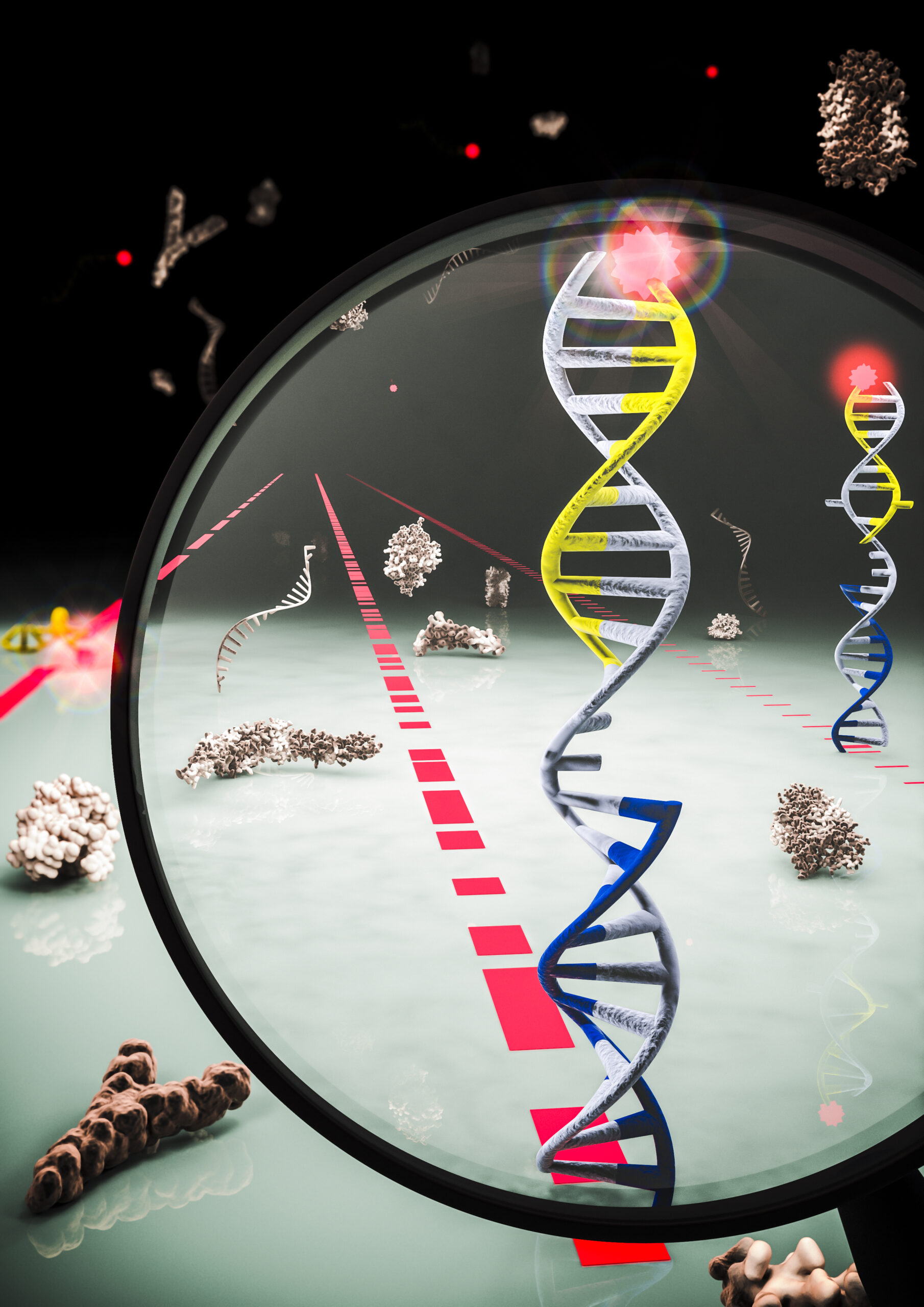 University of Michigan researchers have developed a technique that allows them to efficiently identify snippets of genetic information called microRNAs in blood. The advance could one day lead to a way to scan for multiple types of cancer at once with a simple blood test. In this illustration, the red, blue and black strands represent different microRNAs that, in the new technique, attach and detach to DNA, which is gray in the image. The DNA glows fluorescent when an RNA attaches and the particular pattern of blinking tells the researchers which microRNA has attached. Image credit: MolGraphics