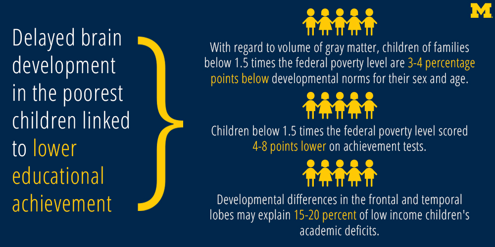  Delayed brain development in the poorest children linked to lower educational achievement