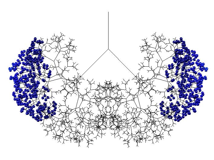 The U-M team’s computer model, shown here, projects the amount of surfactant medication delivered to an adult human lung using 70 milliliters of liquid, the same amount used in the unsuccessful 2004 and 2011 surfactant replacement therapy studies. The colored bubbles represent the surfactant medication; red areas receive the most medication, while blue areas receive less. Image credit: James Grotberg, U-M Engineering
