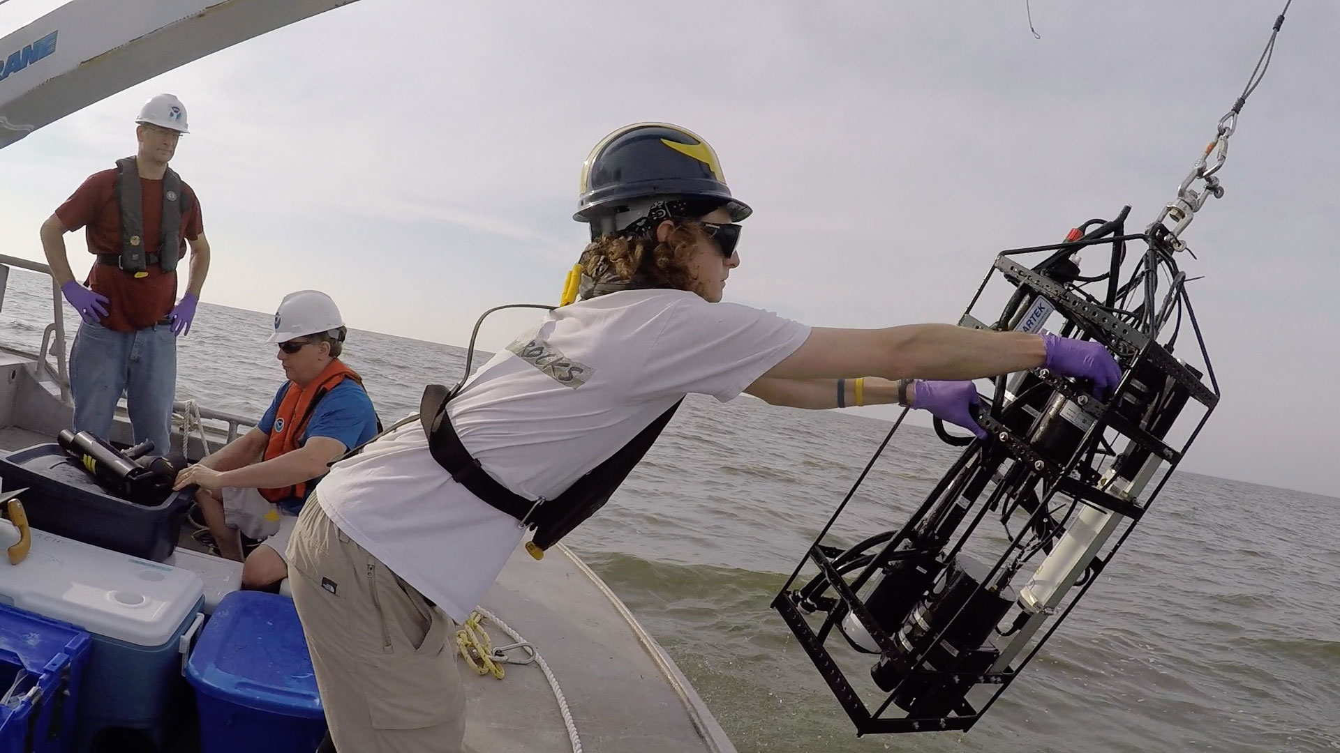 Collecting samples as part of a University of Michigan-NOAA effort to monitor cyanobacteria blooms in western Lake Erie. Image credit: Mike Wood