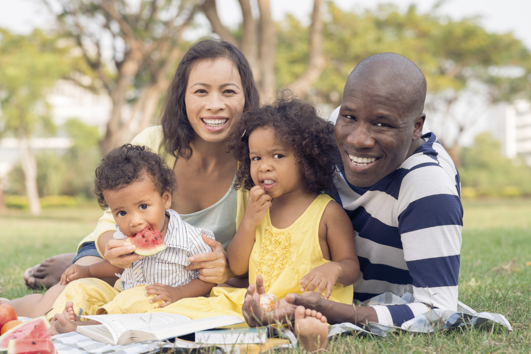A family of four at a picnic. (stock image)