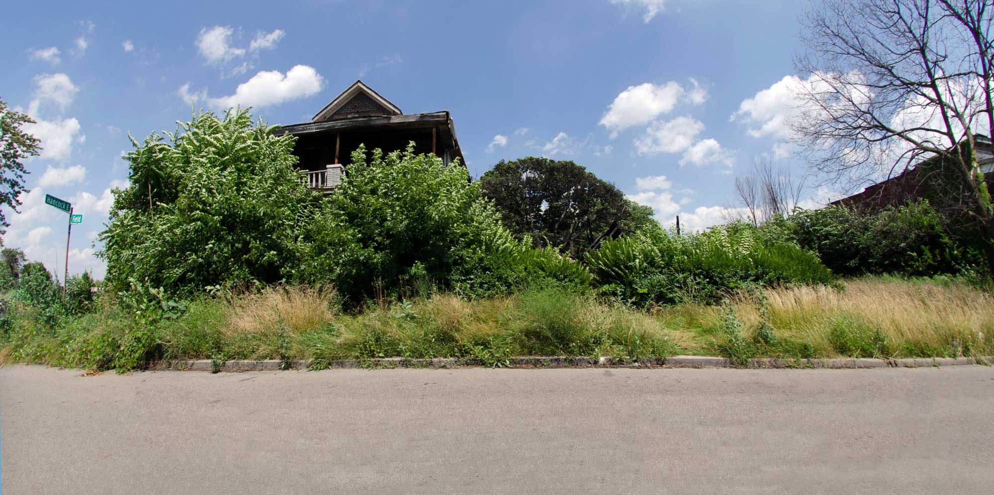 The U-M share of a new $12 million award from the National Science Foundation will be used to study green infrastructure and urban farming in Detroit. Image Credit: Dave Brenner/SNRE