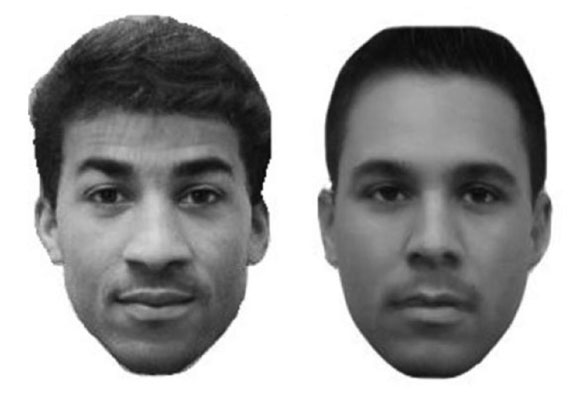 Sample morphed multiracial faces from the racial-categorization task. Image courtesy: Ho et al.