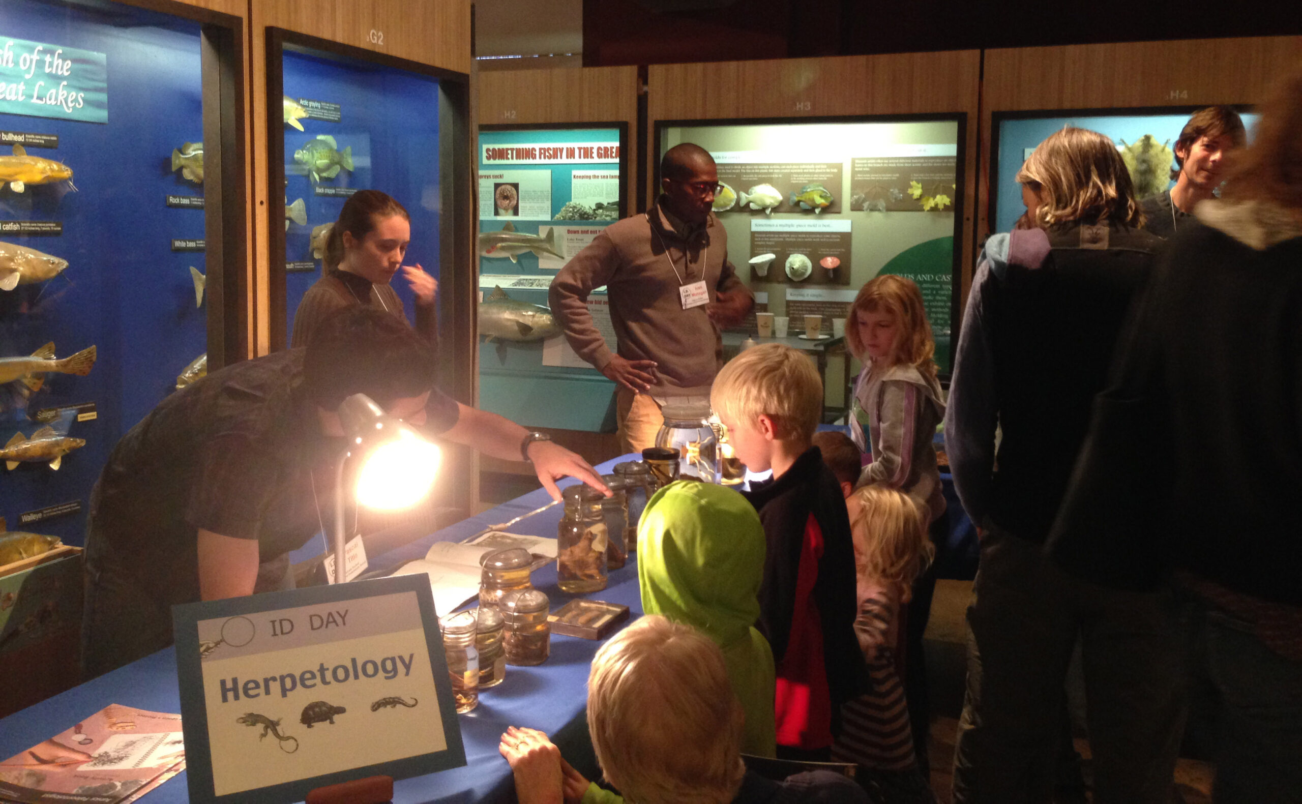 Visitors at previous ID events at the University of Michigan Museum of Natural History. Image courtesy Museum of Natural History
