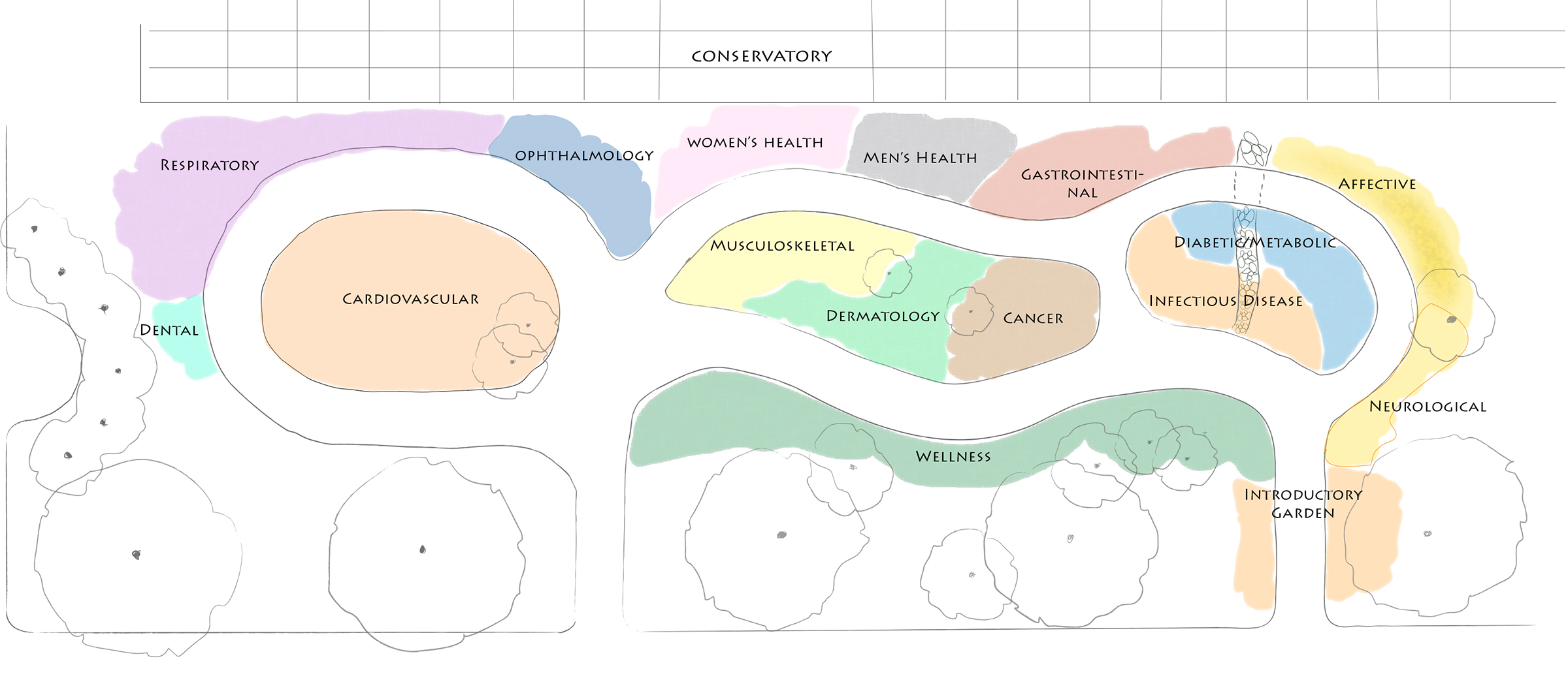 Drawing of medicinal garden layout. Image courtesy: Matthaei Botanical Gardens