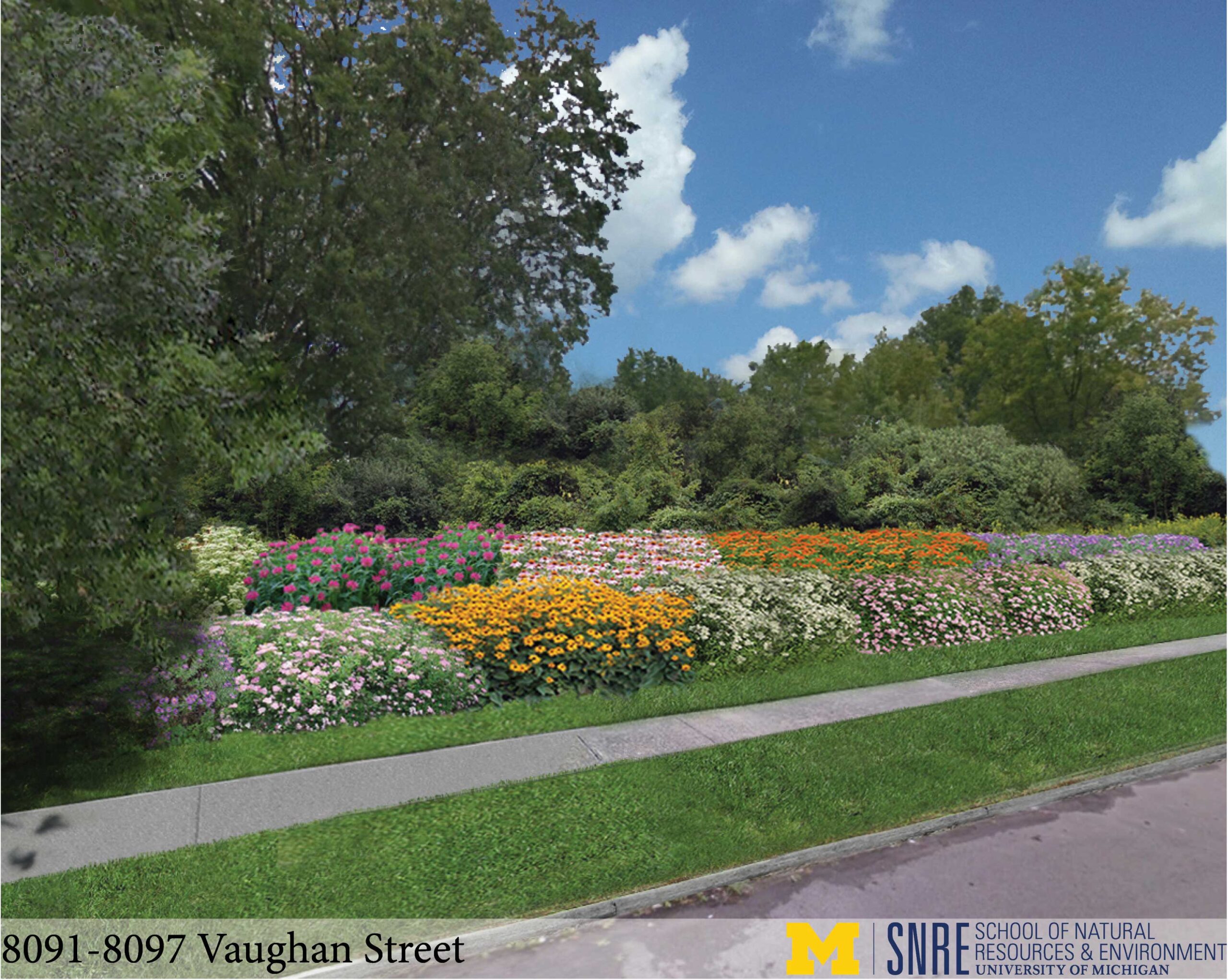 Artist's rendering of a completed "bioretention flower garden" in Detroit's Cody Rouge neighborhood. The gardens will soak up and store storm water to help reduce overflows during large storms. Image credit: University of Michigan/SNRE