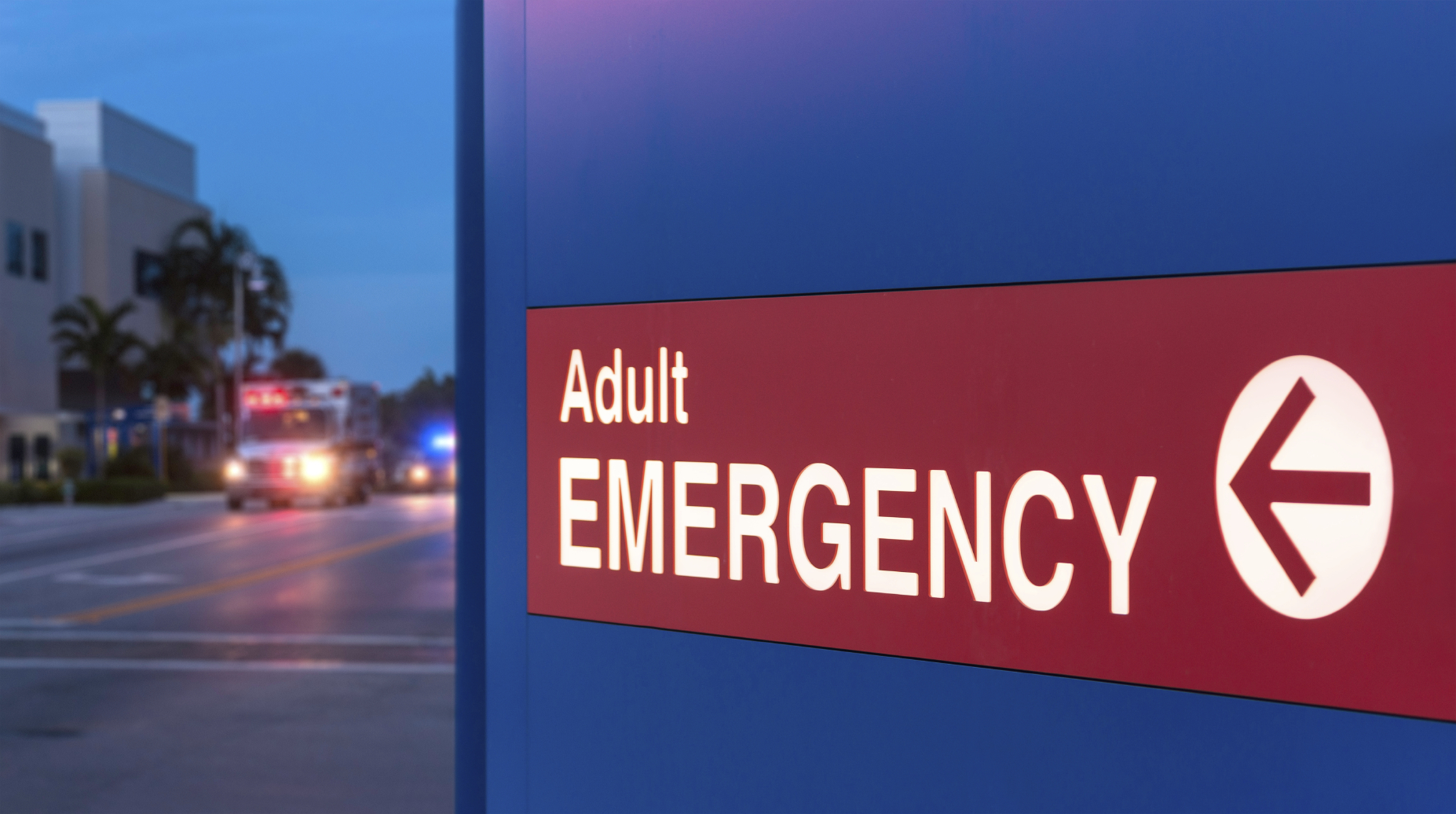 Sign reading "Adult Emergency". (stock image)