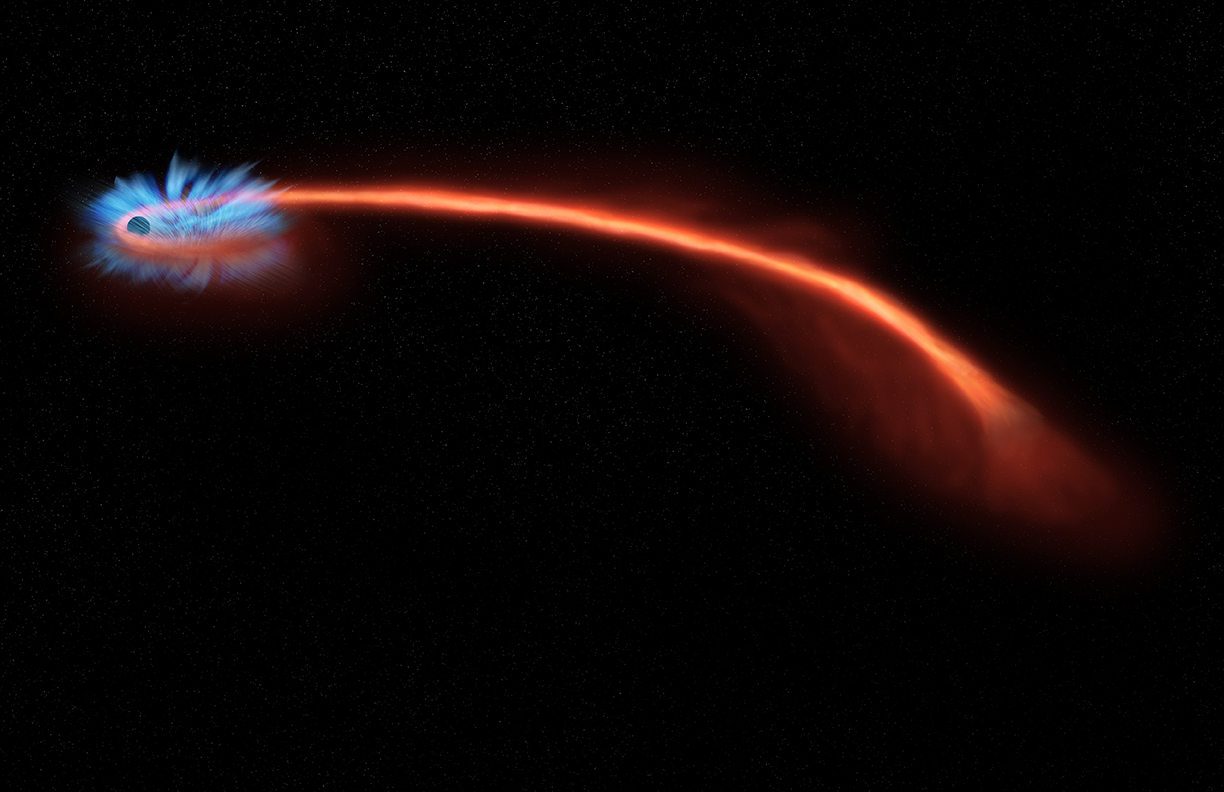 Astronomers have observed material being blown away from a black hole after it tore a star apart. Credit: NASA/CXC/U. Michigan/J. Miller et al.; Illustration: NASA/CXC/M. Weiss