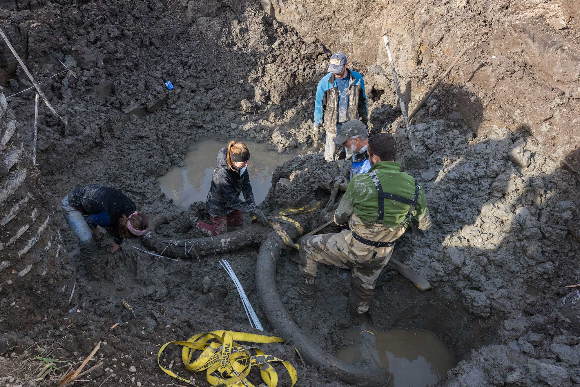 Daniel Fisher, director of the U-M Museum of Paleontology and leader of the dig near Chelsea. Fisher is a professor in the Department of Earth and Environmental Sciences and in the Department of Ecology and Evolutionary Biology. Image credit: Daryl Marshke, Michigan Photography