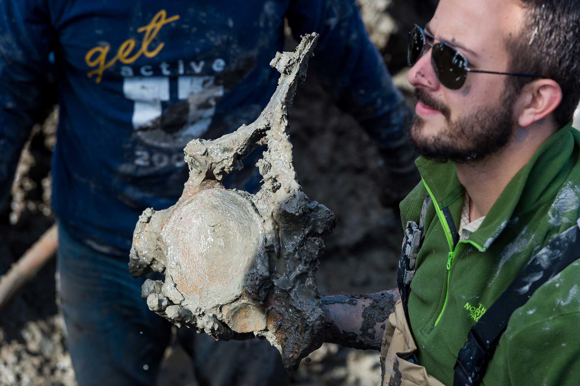 U-M Ph.D. candidate Joe El-Adli holding one of the mammoth vertebrae recovered during Thursday's dig. Image credit: Daryl Marshke, Michigan Photography.