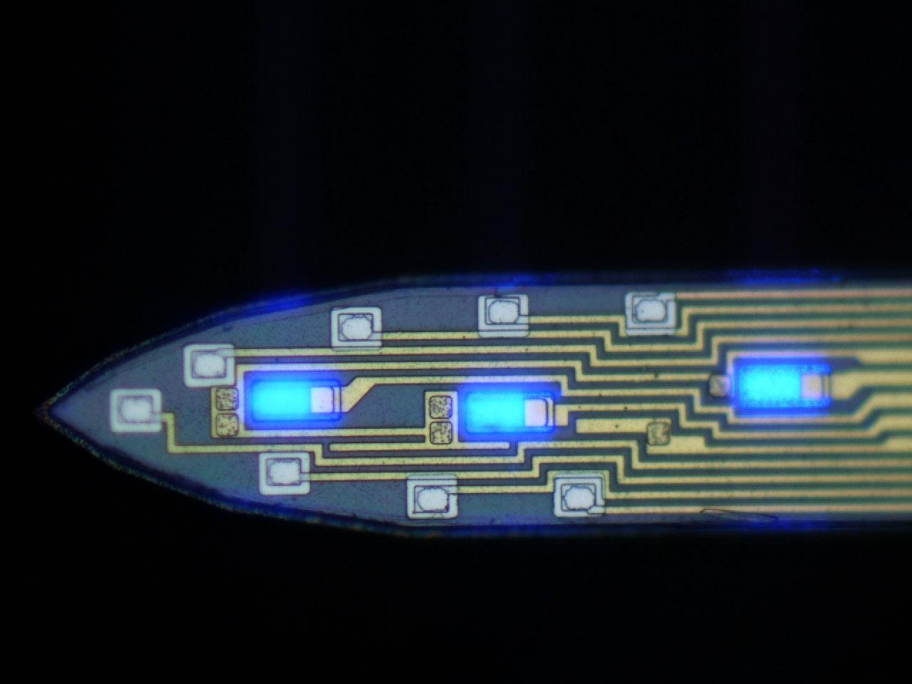 The tines of the probe are just under a tenth of a millimeter wide. Equipped with minuscule LED lights and electrodes, each tine can stimulate and measure about a hundred individual neurons. Image credit: Fan Wu, Yoon Lab, University of Michigan