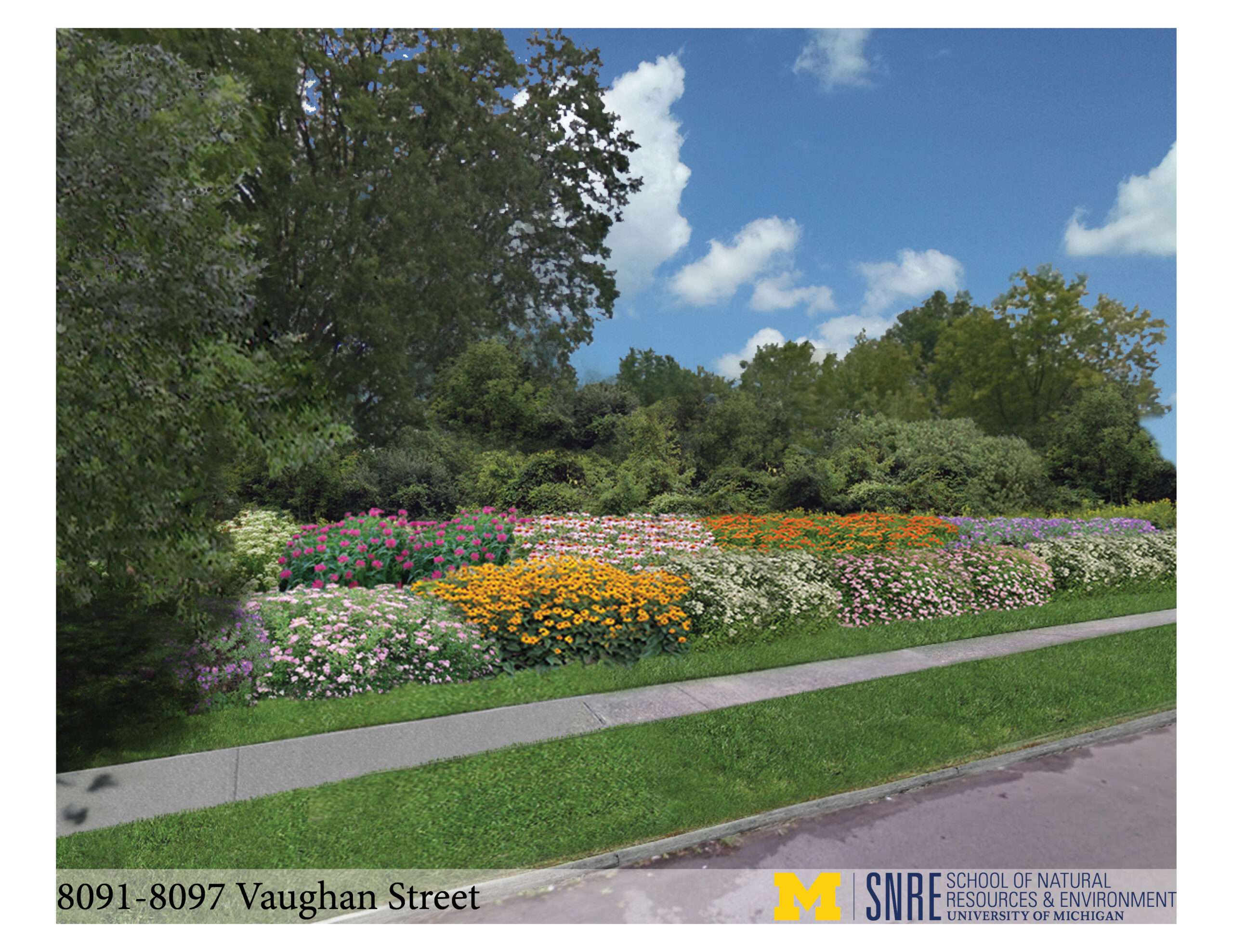 Artist's rendering of a completed "bioretention flower garden" in Detroit's Cody Rouge neighborhood. The gardens will soak up and store storm water to help reduce overflows during large storms. Image credit: University of Michigan/SNRE