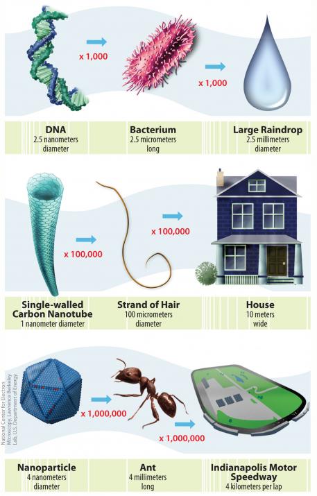 Infographic comparing the width of DNA, raindrops and several other familiar objects.