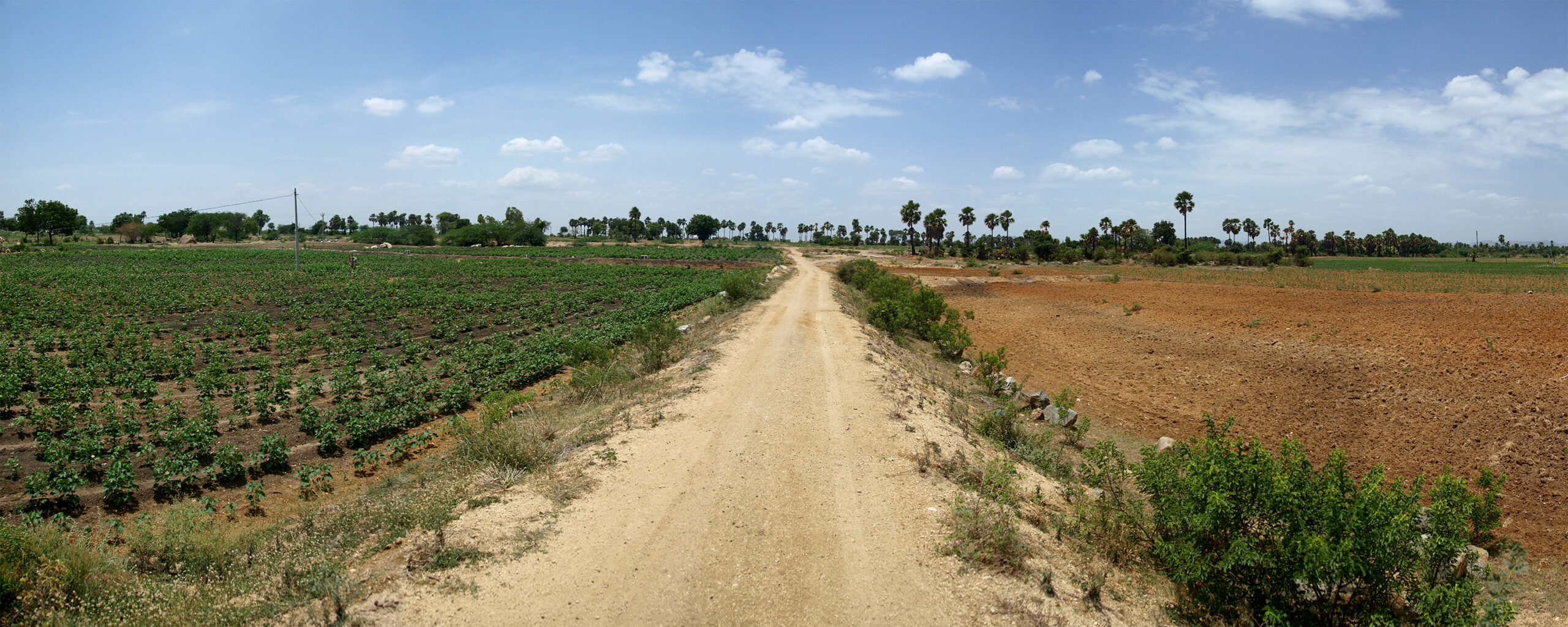 The farm field on the left has been treated with silt. Image credit: John Monnat