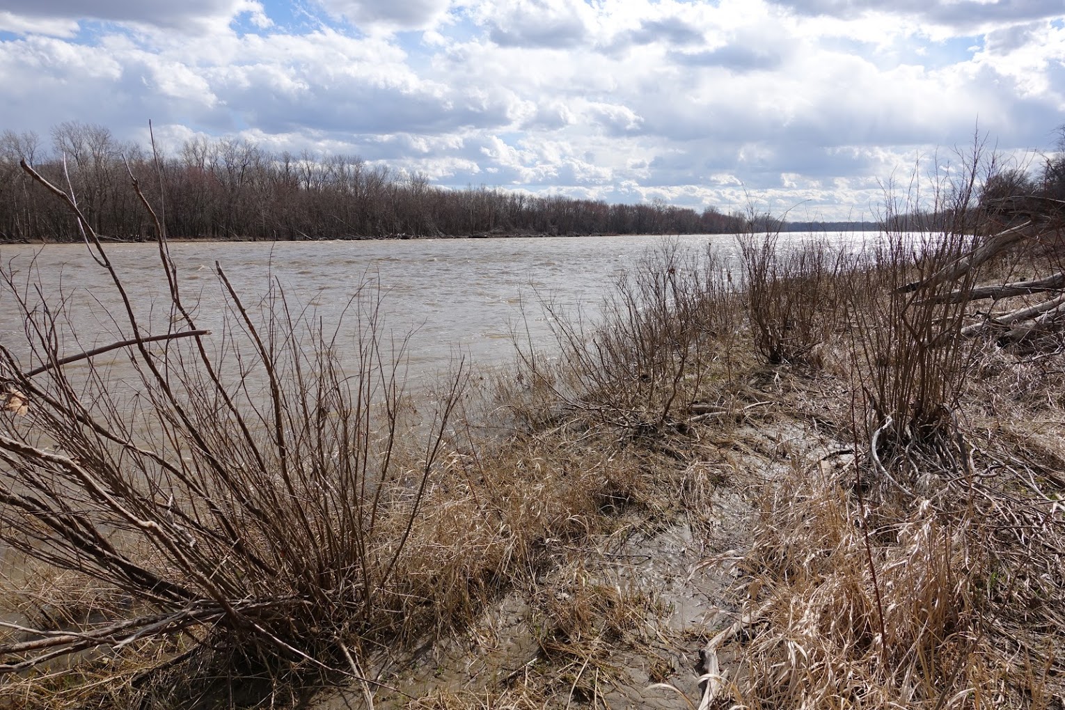Maumee River. Image credit: Mike Wood