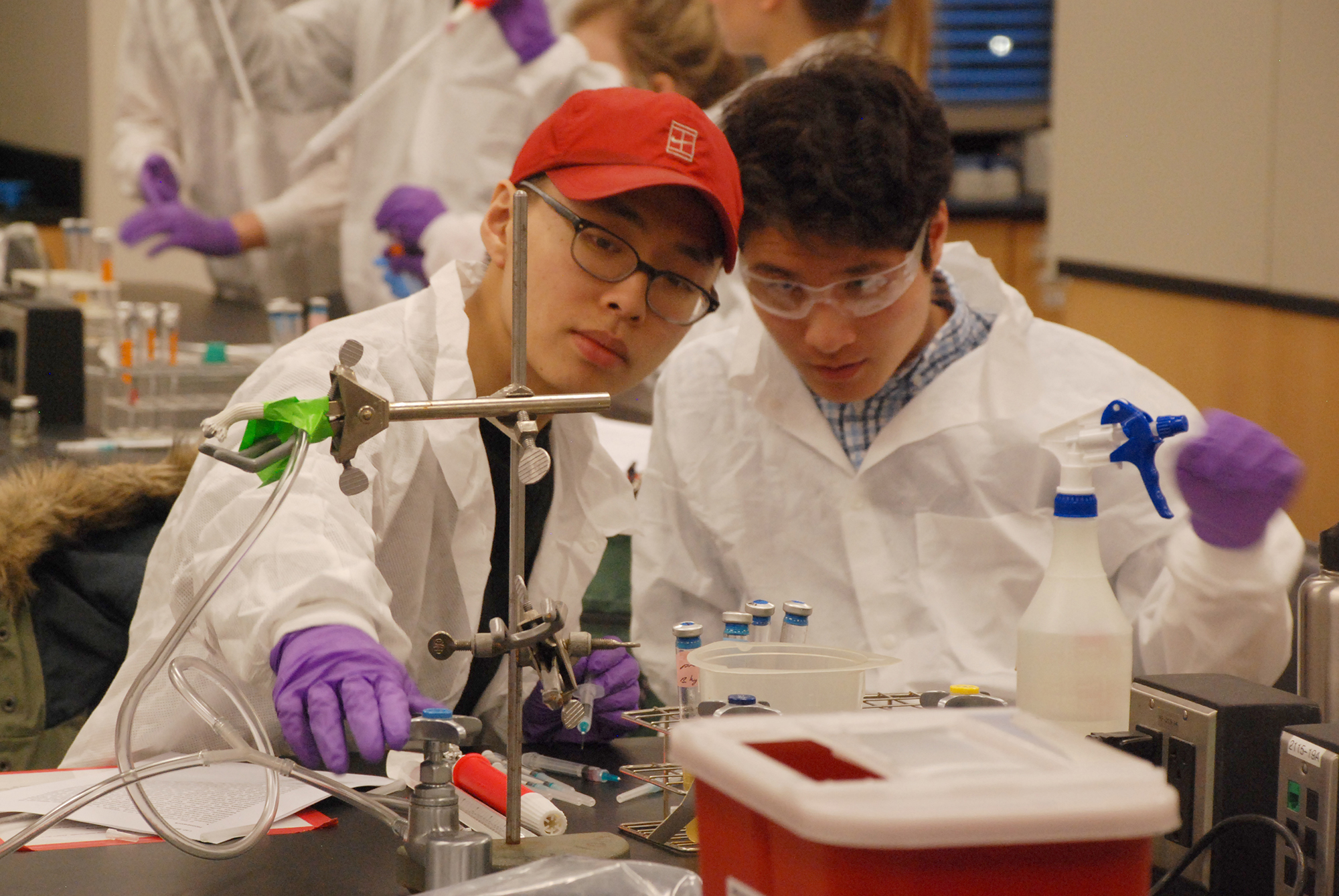 Undergraduate biology students Christopher Hu, left, and John Fan are part of a laboratory class in which students analyze the microbes that live in their own digestive systems. Teams of students use class data to test a hypothesis about the gut microbiome. For example, do the students’ microbial communities differ based on what dorm they live in? Image credit: Dale Austin