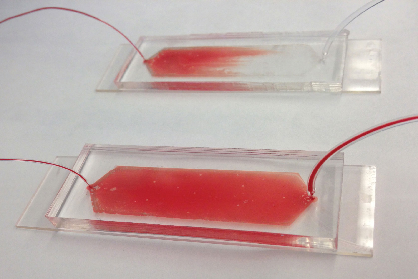 The device captures cancer cells from a blood sample. When a cold solution runs through the device, it releases the cancer cells for further study. Credit: Hyeun Joong Yoon, Apoorv Shanker, Angela Yang Wang, and Molly Kozminsky University of Michigan. Copyright: Advanced Materials