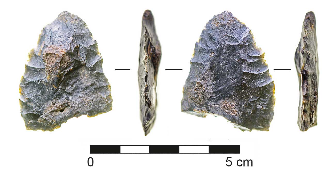 A 12,600-year-old stone knife found at the Page-Ladson site in Florida. Image courtesy: Michael Waters, Texas A&M University