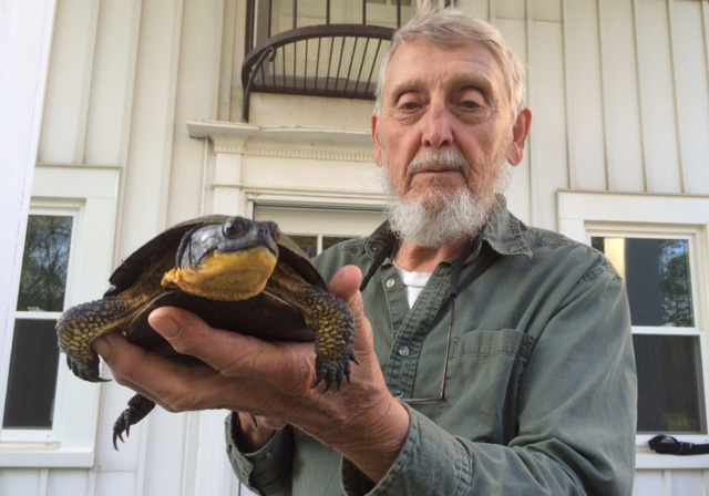 Researcher Justin Congdon with an 83-year-old Blanding’s turtle at U-M’s E.S. George Reserve. Image credit: Roy Nagle