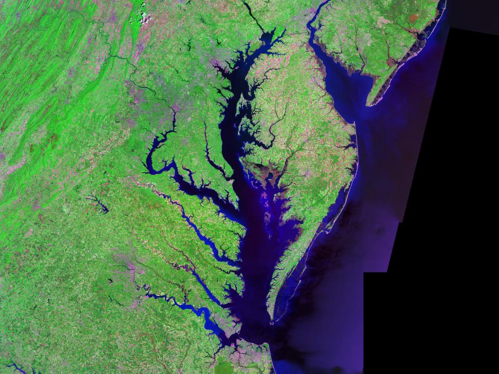 Satellite (Landsat) picture of Chesapeake Bay (center) and Delaware Bay (upper right) - and Atlantic coast of the central-eastern United States. Image credit: Landsat/NASA, via Wikimedia Commons