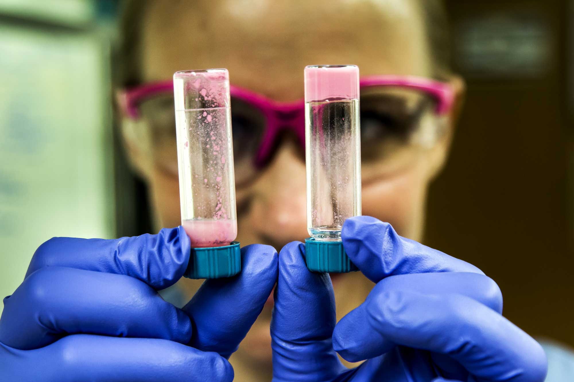 Gesine Veits, Chemistry Post Doctoral Researcher and member of Ann McNeil's laboratory, constructs a lead paint test. Image credit: Joseph Xu, Michigan Engineering