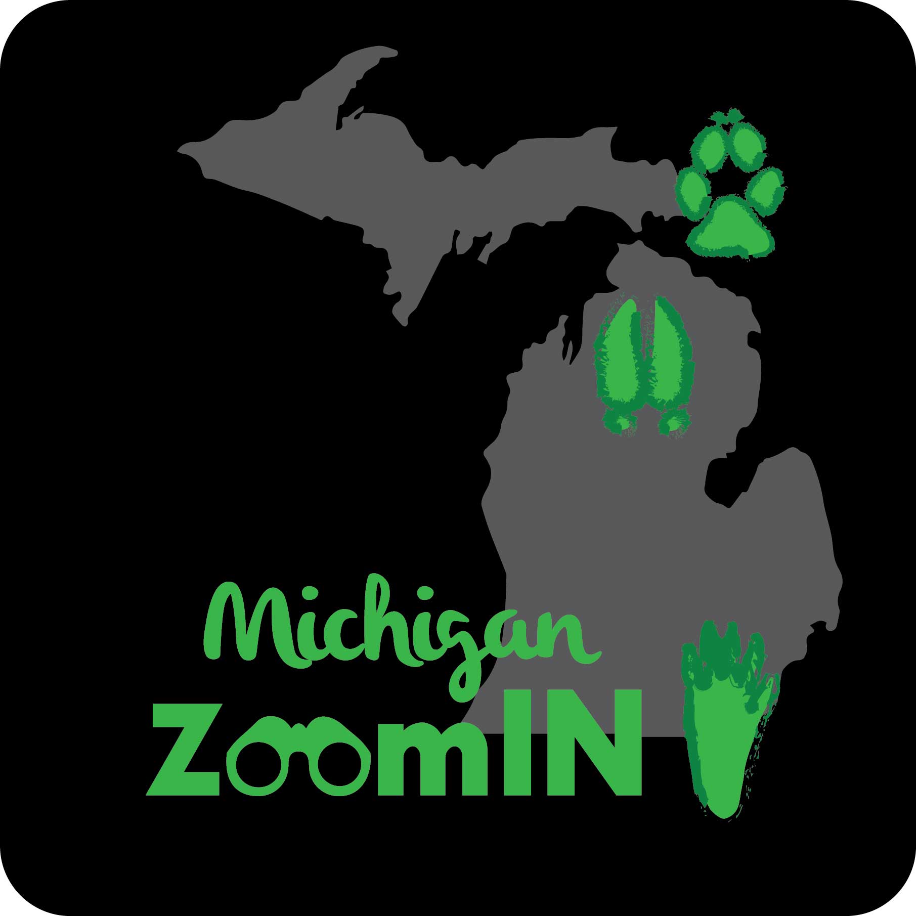 Michigan ZoomIN logo