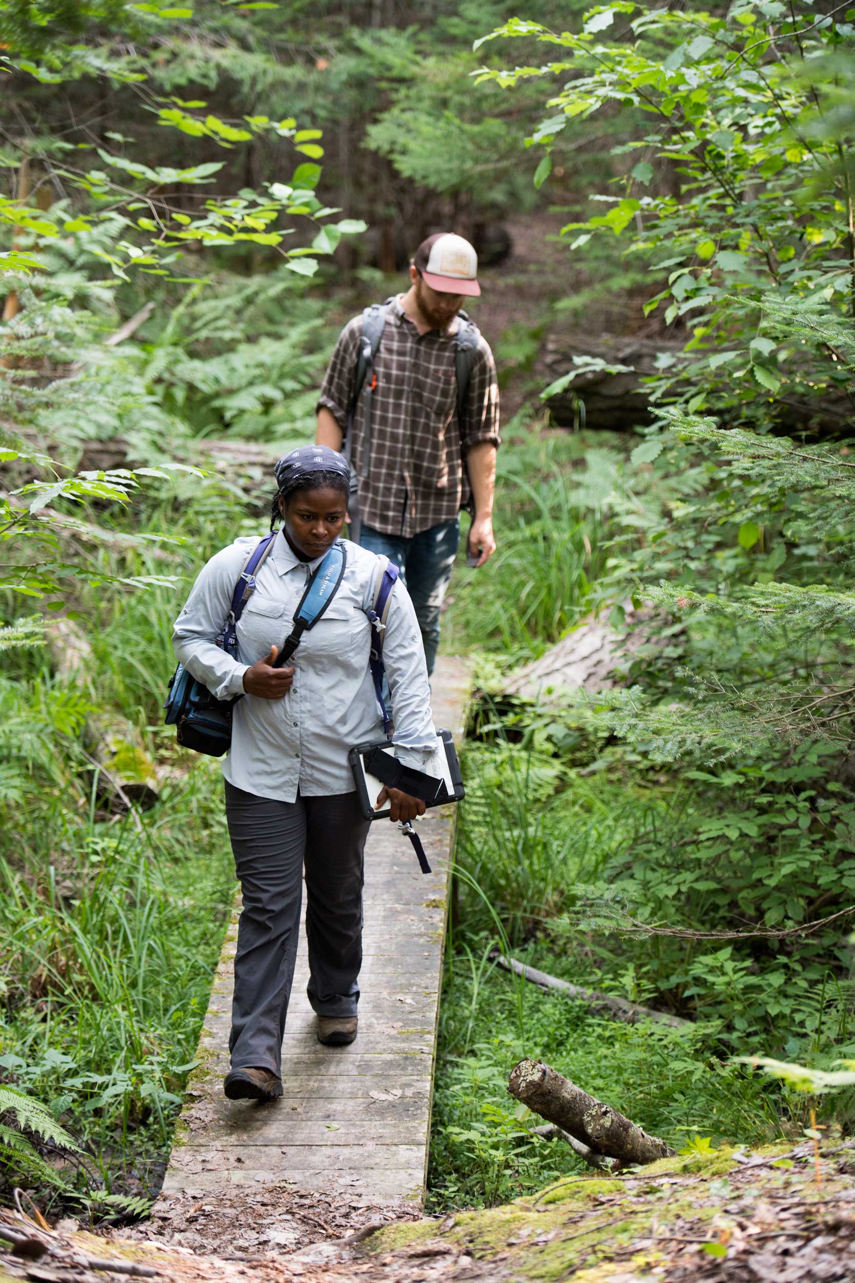 U-M wildlife ecologist Nyeema Harris and graduate student Corbin Kuntze heading into the forest at the University of Michigan Biological Station to install “camera traps” to capture wildlife images. The Biological Station is one of three Michigan sites in the study, which will yield hundreds of thousands of wildlife snapshots. Image credit: Eric Bronson, Michigan Photography