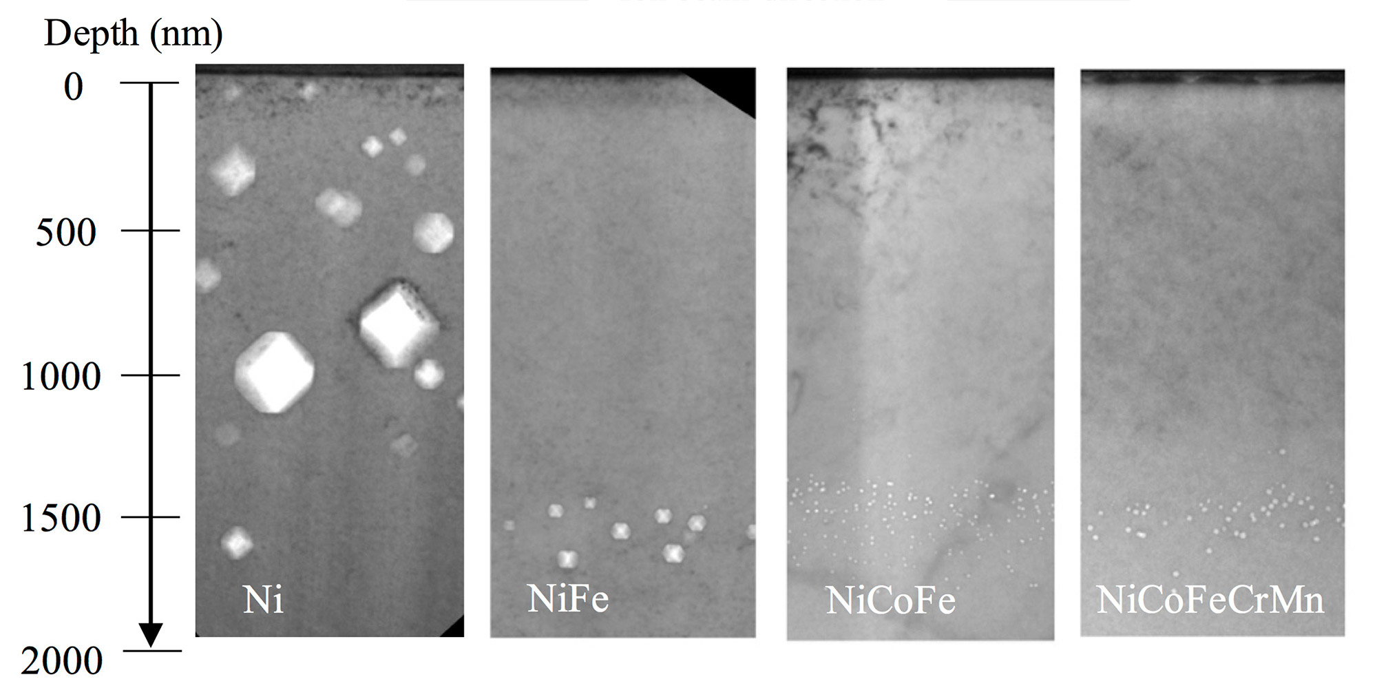 An electron microscope reveals the radiation-induced cavities inside samples of pure nickel and alloys. The cavities in nickel-cobalt-iron and nickel-cobalt-iron-chromium-manganese alloys are 100 times smaller than those in pure nickel. Image credit: Wang Group, University of Michigan