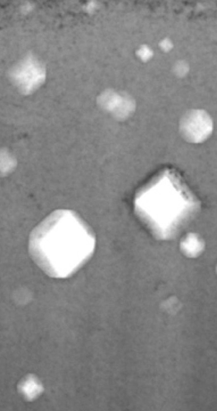 An electron microscope reveals the radiation-induced cavities inside a sample of pure nickel. The cavities in nickel-cobalt-iron and nickel-cobalt-iron-chromium-manganese alloys are 100 times smaller. Image credit: Wang Group, University of Michigan