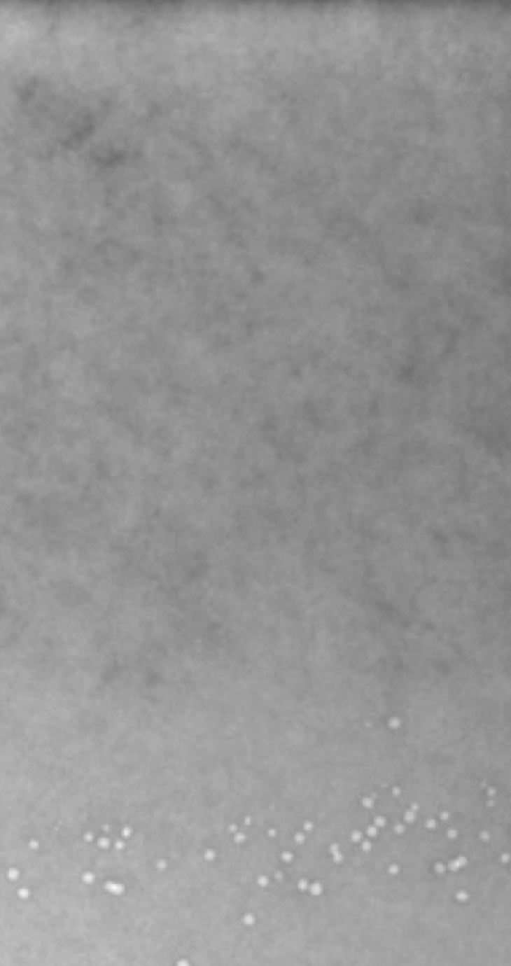 An electron microscope reveals the radiation-induced cavities inside a sample of nickel-cobalt-iron-chromium-manganese alloy. The cavities in pure nickel are 100 times larger. Image credit: Wang Group, University of Michigan