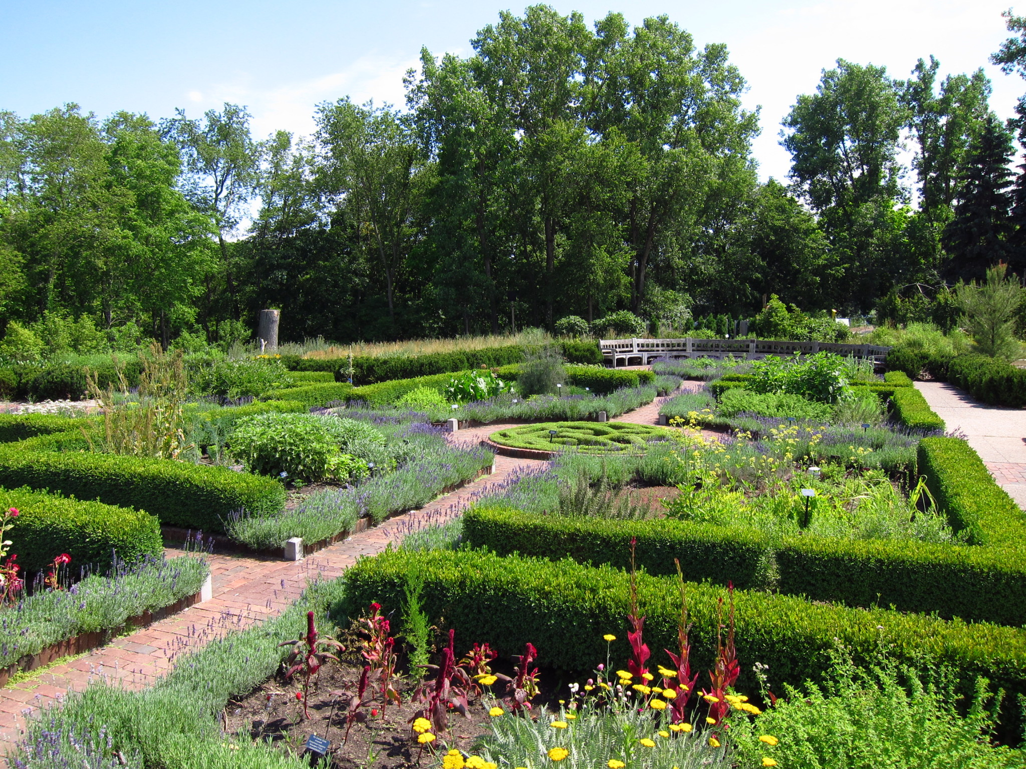 Herb Knot garden at Matthei Botanical Gardens.