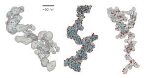 A 3-D view of a particle used in a hydrogen fuel cell powered vehicle. The gray structure is carbon; the red and blue particles are nanoscale flecks of platinum. The image is made possible by Tomviz 1.0. Image credit: Elliot Padget, Cornell University