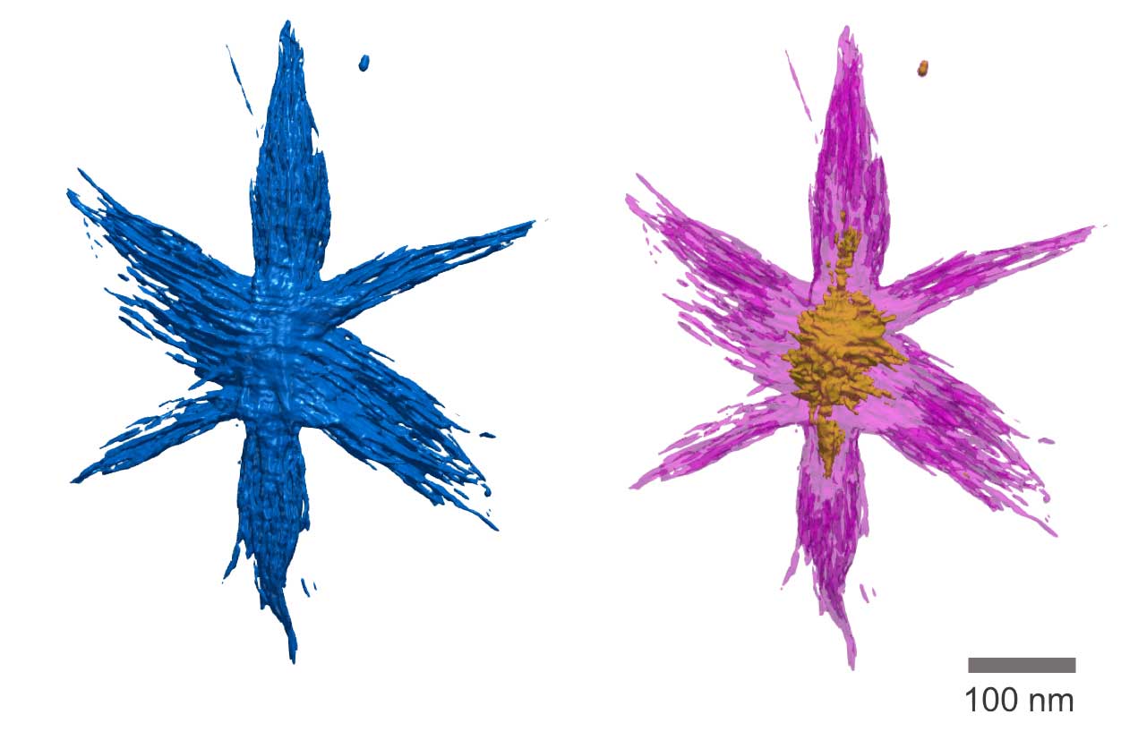 A 3-D view of a hyperbranched nanoparticle with complex structure, made possible by Tomviz 1.0, a new open-source software platform developed by researchers at the University of Michigan, Cornell University and Kitware Inc. Image credit: Robert Hovden, Michigan Engineering