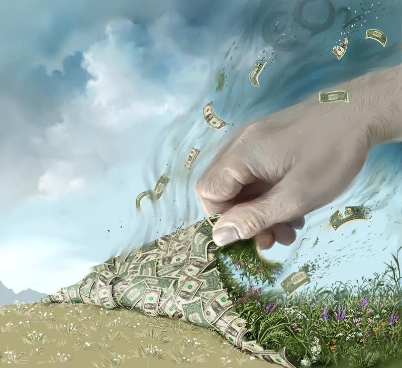 Biodiversity confers economic value by promoting the critical ecosystem service of carbon storage. When biodiversity declines as human activity causes biological communities to become simplified, that economic value is lost. Illustration by Victor Leshyk.