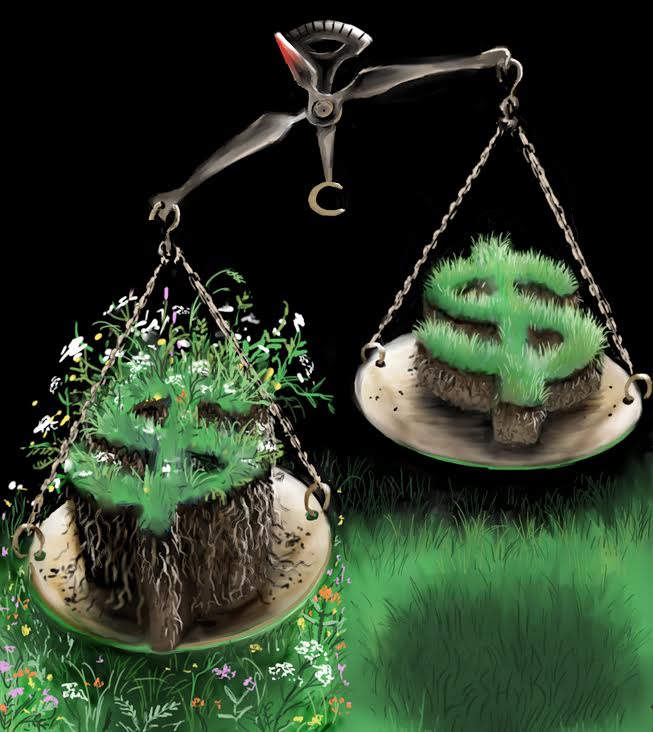 Grasslands with higher biodiversity (left) store more carbon than grasslands with simpler communities (right). Carbon storage in ecosystems has economic value because of the social cost of carbon emissions and associated climate change. Illustration by Victor Leshyk.