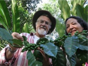 Dr. Ivette PUniversity of Michigan ecologists Ivette Perfecto and John Vandermeer. Photo Credit: Mike Wooderfecto and Dr. John Vandermeer inspecting organisms on coffee leafs at Sierra Madre de Chiapas