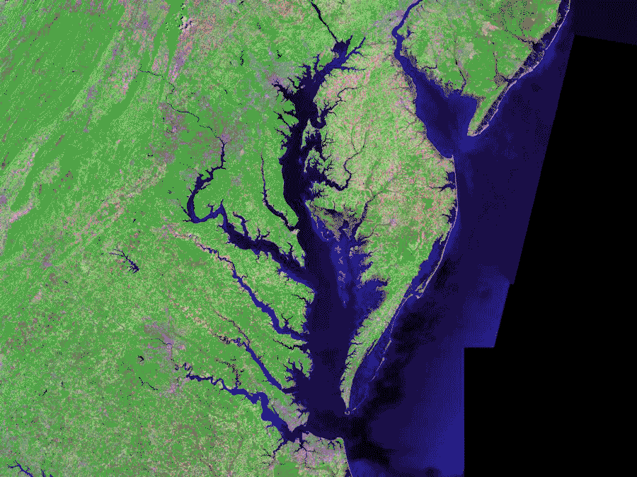 Satellite (Landsat) picture of Chesapeake Bay (center) and Delaware Bay (upper right) - and Atlantic coast of the central-eastern United States. Image credit: Landsat/NASA, via Wikimedia Commons