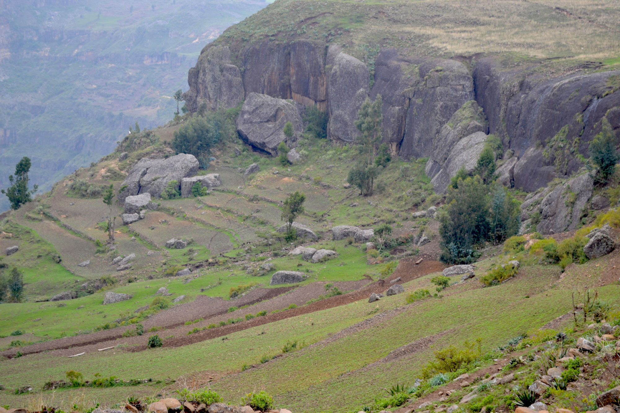 80 percent of the country still depends on farming. Image credit: Mandira Banerjee