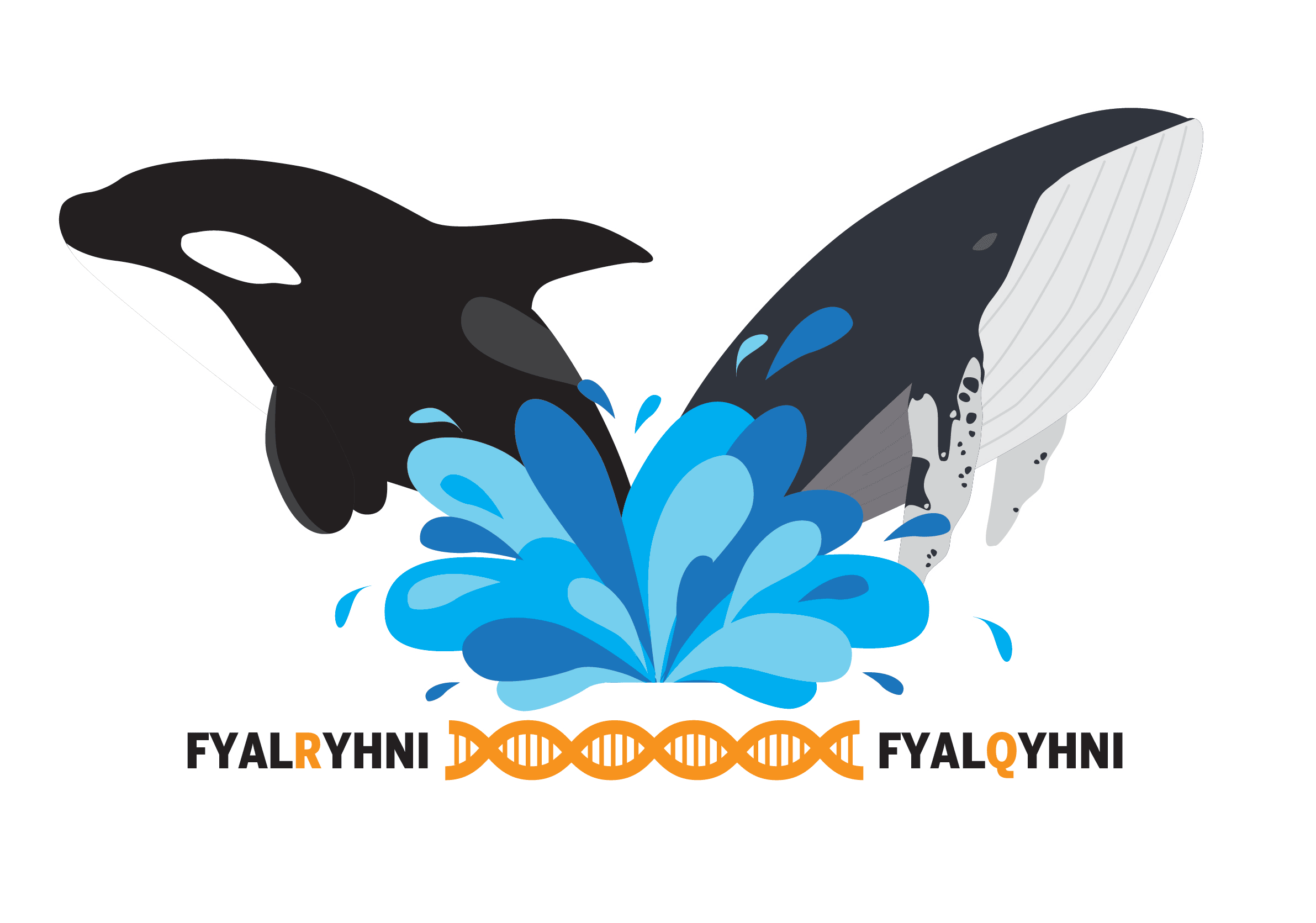 Illustration of a whale and an orca. Image credit: Stephanie King, U-M Life Sciences Institute