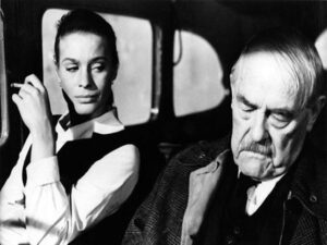 Wild Strawberries still