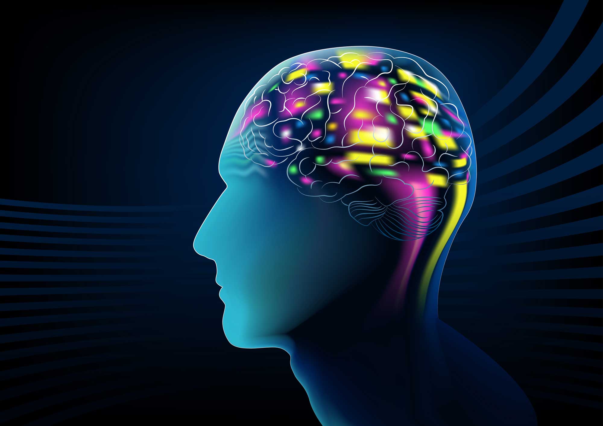 Concept illustration of a brain. (stock image)
