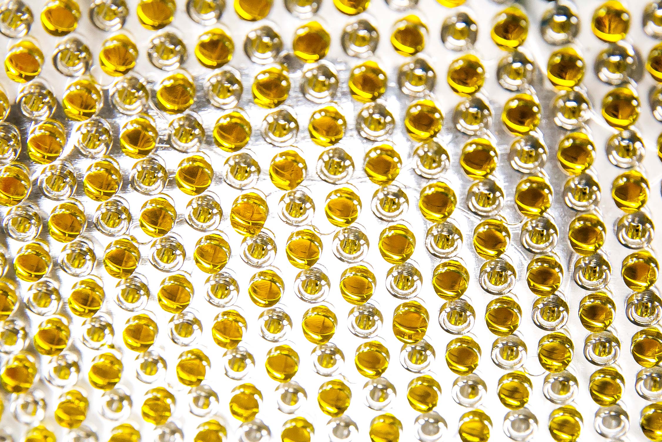 A hanging drop spheroid platform. Image credit: Joseph Xu, Michigan Engineering
